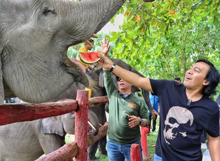Dukung Kelestarian Gajah di Riau, Komeng dan Djarwo Kwat Kunjungi PLG Minas 