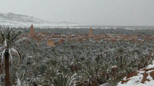 Aljazair Geger, Gurun Tandus Berubah jadi Lautan Salju