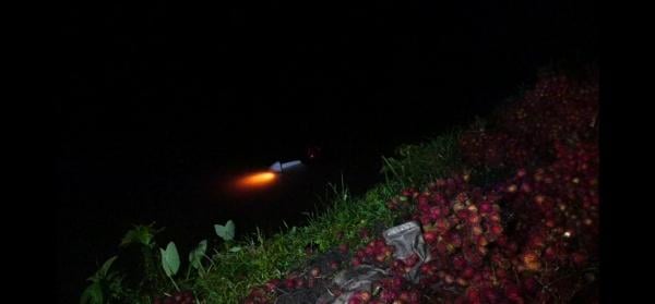 Pecah Ban Mobil Pickup Sarat Muatan Buah Terjun ke Sungai Bondoyudo, Satu Penumpang Belum Ditemukan