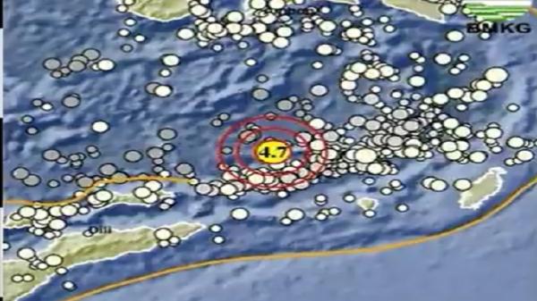 Gempa Terkini Bermagnitudo 4,7 Guncang Maluku Tenggara Barat  