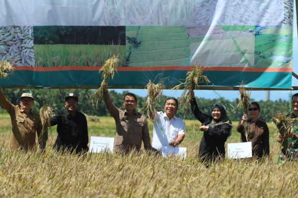 Tahun 2023, Pemprov Banten Siapkan Cadangan Pangan 1.348 Ton Beras