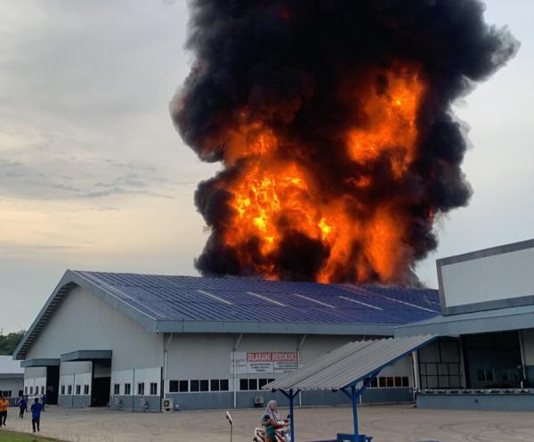 Kebakaran Hebat Luluhlantakkan Pabrik Kasur di Tenjo Kabupaten Bogor, Kerugian Capai Milyaran Rupiah