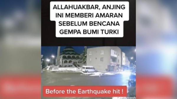 Viral! Longlongan Anjing Sebelum Gempa Turki, Netizen Sebut Pertanda Bencana