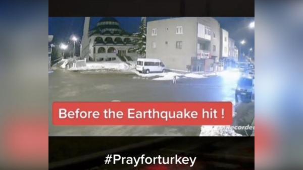 Viral Anjing Melolong sebelum Gempa di Turki, Pertanda Bencana Datang? 