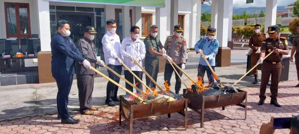 Puluhan Gram Ganja dan Sabu di Musnahkan Kejari Bener Meriah