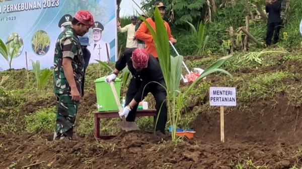 Mentan SYL dan Mas Bupati Kediri Tanam Kelapa Genjah Integrasi Jagung dan Ternak Kambing