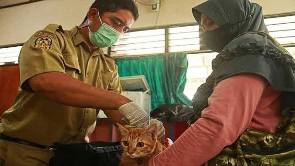 Pemkot Yogyakarta Gelar Vaksinasi Rabies Gratis, Cek Info Lengkapnya