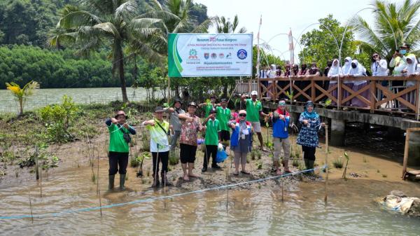 Hijaukan Pulau Momongan, Kilang Cilacap Tanam 2.023 Pohon Mangrove