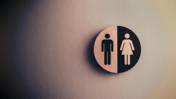 Kenapa Antrean Toilet Perempuan Lebih Panjang daripada Laki-Laki? Ini Alasannya