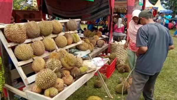 Apa Keistimewaan Durian Sumberasri ?, Berani Gelar Festival Durian Dihadiri Khofifah Indar Parawansa