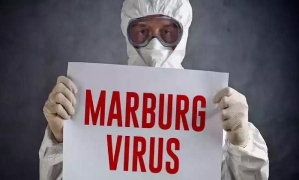 Pandemi Covid 19 Belum Usai, WHO Mengkonfirmasi ada Virus Marburg  yang Menular dan Mematikan
