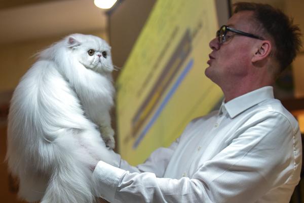 Ini Tampang Pesona Kucing Nusantara Peserta  Internasional Cat Show di Palembang