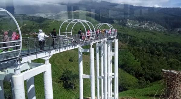 Sensasi Berjalan di Atas Jembatan Kaca Setinggi 30 Meter di Lereng Gunung Lawu