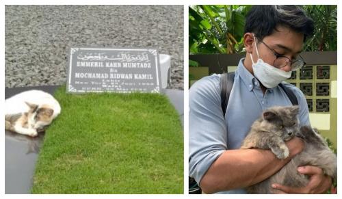 Atalia Kamil Unggah Foto Kucing Putih yang Selalu Menjaga Makam Eril, Mengharukan!
