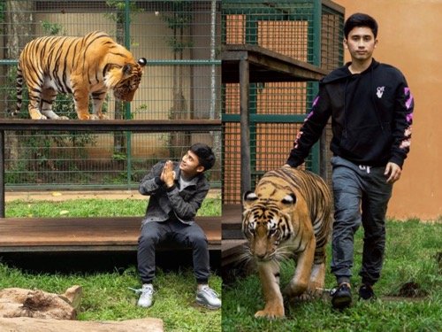 5 Artis Hobi Pelihara Binatang, Nomor 2 Punya Harimau dan Rusa