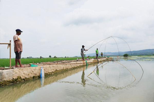 Petani di Pati Banting Setir Jadi Nelayan Karena Sawahnya Terendam Banjir 3 Bulan