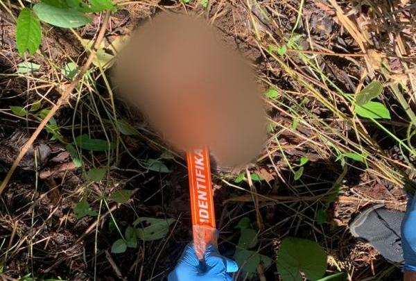 Nenek yang Jadi Korban Mutilasi di Nias Selatan Kepala Ditemukan 8 Meter dari Tubuh