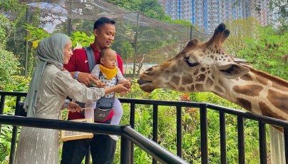 Liburan Akhir Pekan, Coba Ajak si Kecil Melihat Kura-Kura di Bandung Zoo