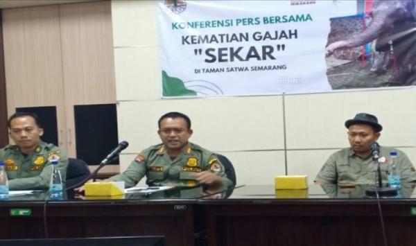 Gajah Betina Koleksi Semarang Zoo Mati, Dieksploitasi?
