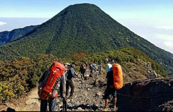 8 Tips Mendaki Gunung Gede Pangrango bagi Para Pemula, Pastikan Tubuh Sehat ya!