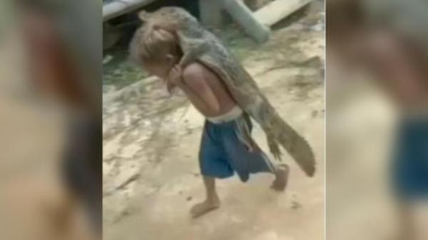 Video Viral Bocah Gendong Buaya Bikin Netizen Bingung