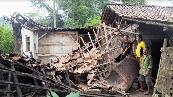 2 Rumah di Ciambar dan Nagrak Sukabumi Roboh Diterjang Angin Kencang  