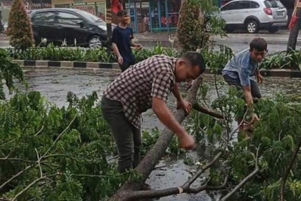 Jalan Ciater Raya Serpong tak Bisa Dilewati, Gara-gara Pohon Tumbang Diterpa Angin dan Hujan