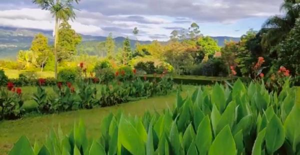 Kebun Mawar Situhapa Garut Wisata Alam Hidden Garden