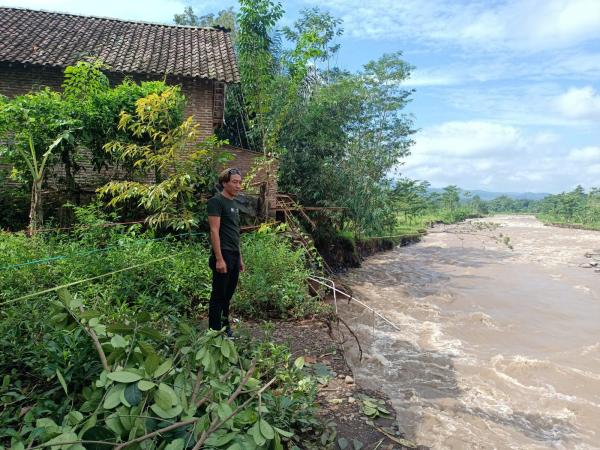 Diterjang Banjir Sungai Pancar Glagas, 15 Meter Bantaran Sungai Terkikis dan 2 Hektar Sawah Rusak