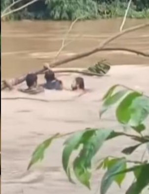 Gegara Putus Cinta, Gadis ABG Ini Niat Bunuh Diri Terjun dari Jembatan Malah Nyangkut di Pohon