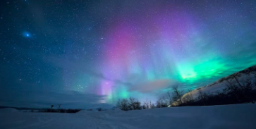 header img