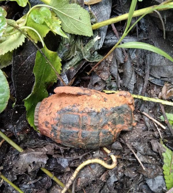 Benda Diduga Granat Ditemukan Bocah 5 Tahun di Mamasa, Awalnya Dikira Buah Kakao Kering