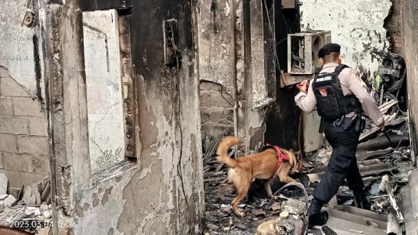 Polri Kerahkan Tim Gabungan dan Anjing Pelacak Cari Korban Kebakaran Plumpang