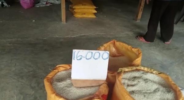 Harga Beras di Timor Tengah Utara Capai Rp16.000 per Kg