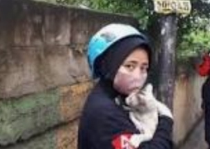 Aksi Relawan Cantik Selamatkan Seekor Kucing yang Terjebak Direruntuhan Kebakaran