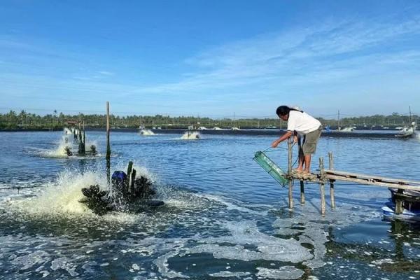 Perusahaan Tambak Udang yang ‘Disegel’ DPD KNPI Lebak Buka Suara Terkait Perizinan KKPRL