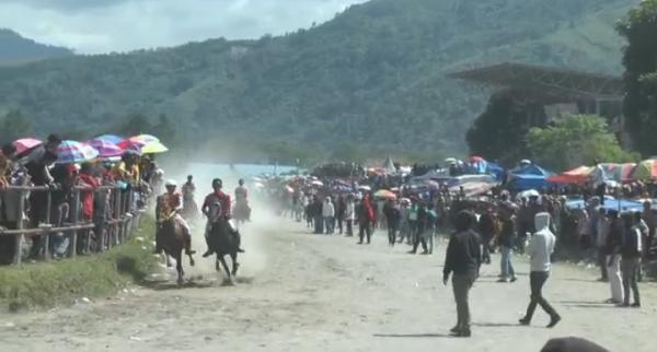 Pacu Kuda Tradisional Dongkrak Wisata di Dataran Tinggi Gayo Aceh