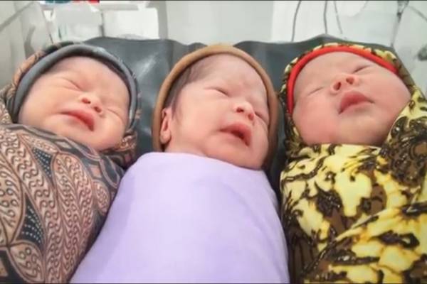 Luar Biasa, 3 Bayi Kembar Lahir di Madina, 2 Laki-laki 1 Wanita