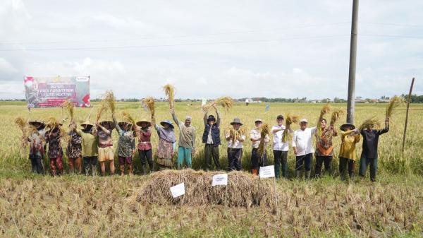 Panen Raya Nusantara Satu Juta Hektare, Kementan Apresiasi Petani Modern Serang