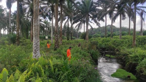 Kapolsek Kelapa Tepis Isu Penculikan Hafizah, Bocah 8 Tahun yang Hilang di Kebun Sawit Leidong Wess