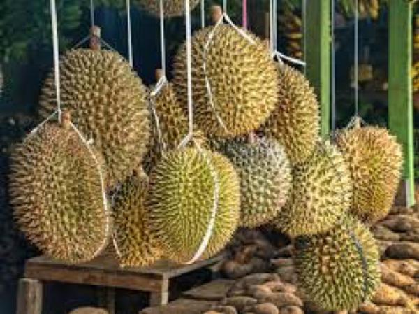 Hati-Hati Beli Durian di Exit Tol Kandeman Batang, Banyak Durian Celeng