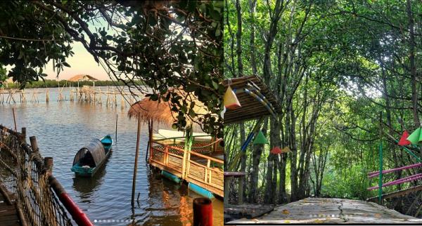 Menjelajahi Hutan Payau di Cilacap, Terpikat Mangrove yang Rimbun dengan Spot Instagramable