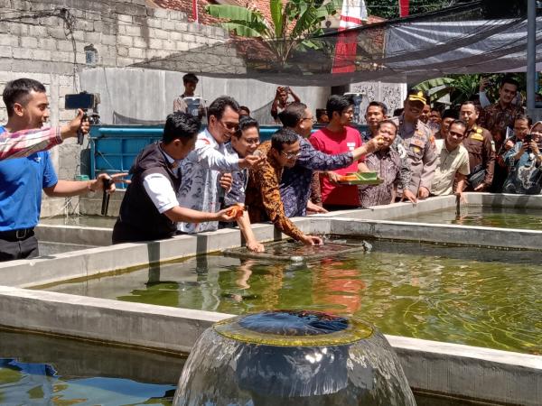 Mendes PDTT Lepas  Ekspor Ikan Hias Tulungagung