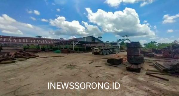 KPK Dorong Penegakan Hukum Atas Maraknya Ilegal Logging di Kabupaten Sorong