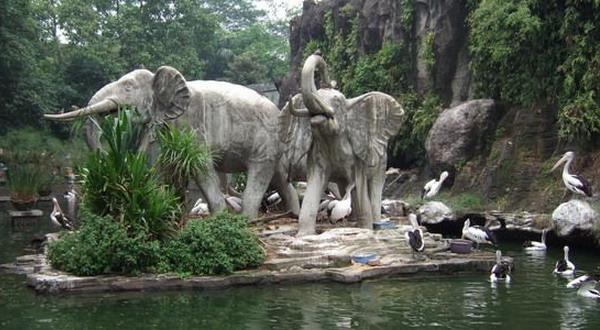7 Rekomendasi Kebun Binatang di Indonesia yang Wajib Dikunjungi