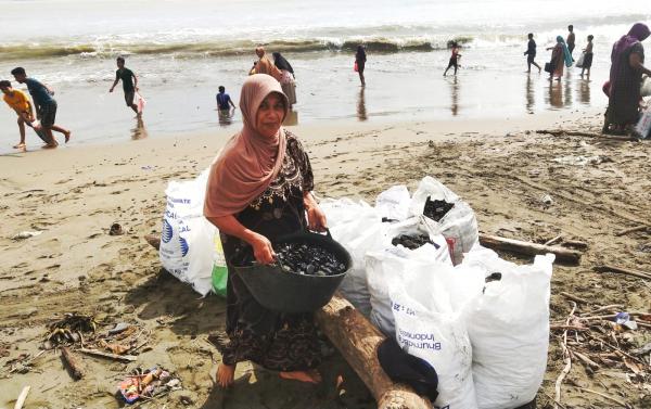 Ratusan Warga Aceh Barat Berjibaku Pungut Ceceran Batu Bara yang Mencemari Pantai