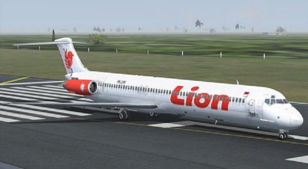 Lion Air Klarifikasi Terkait 2 Pesawat Berlogo Lion di Rusia