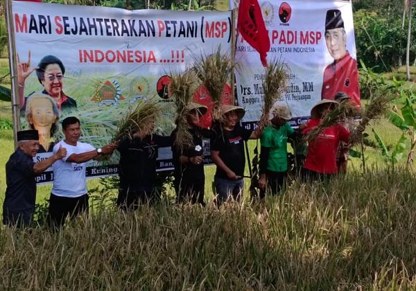 Kembangkan Padi MSP, PDIP Libatkan Petani Milenial Kuningan