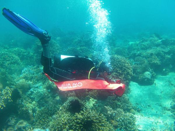 Rescuer Pos SAR Banyuwangi Latihan Selam di Selat Bali