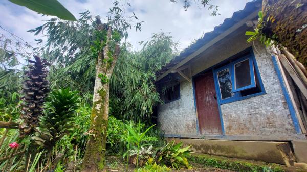 Petugas Gabungan Dibantu Warga Gotong Royong Evakuasi Pohon Bambu yang Timpa Rumah di Tasikmalaya